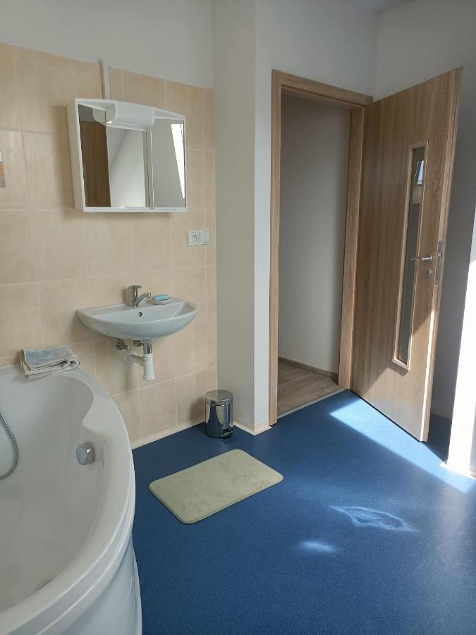 Apartmany U Olsinske Kaplicky Horní Planá Exteriér fotografie